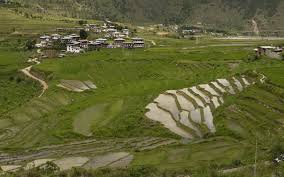 The constitution of bhutan was adopted on 18 july 2008 by the first elected parliament. Combating Fallow Land In Bhutan