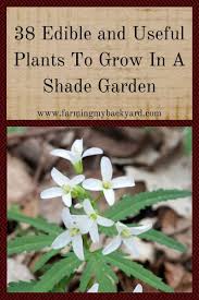Check out my list of the 15 best low light indoor plants! 38 Edible And Useful Plants To Grow In A Shade Garden Farming My Backyard