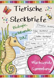 We did not find results for: Materialpaket Steckbriefe Tiere Unterrichtsmaterial In Den Fachern Biologie Sachunterricht Steckbrief Tiere Steckbrief Biologie