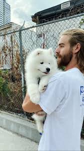 Steven Wills — Brooklyn Athletic Club