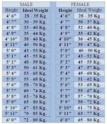 How Much Should I Weigh If My Height Is 58 Quora