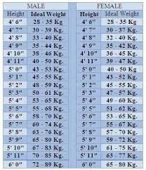 How Much Should I Weigh If My Height Is 58 Quora