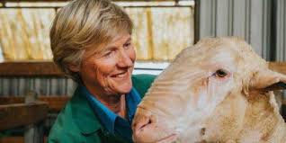 Research and Development Archives