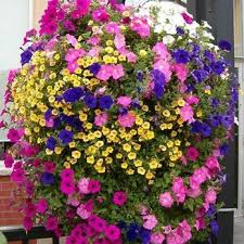 LARRY'S USED APPLIANCES