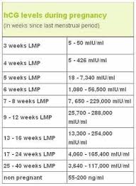 Pin On Pregnancy