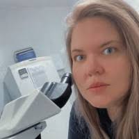 90+ perfis com “Ana Bertoldo”