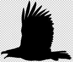 Silhouette Eagle Illustration Bald Eagle Silhouette Eagle Silhouette Monochrome Bird Desktop Wallpaper Png Klipartz Eagles are the large birds with heavy heads and beaks. silhouette eagle illustration bald