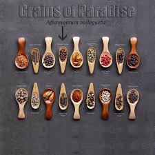 Image result for Aframomum mala