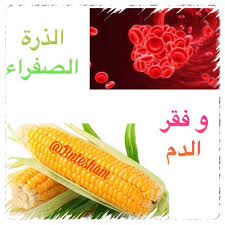 فوائد الذرة في الوقاية من فقر الدم باعتبار الذرة الصفراء مصدر للحديد والفوليت بالتاكيد سيكون لها دور عظيم جدا Vegetables Instagram Posts Fruits Vegetables