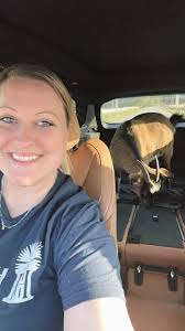 Since my 3 NGs get beyond loud towards the afternoon until I get home. I  think I'm going to try a mannequin in a chair beside their pen. It'll  either work or