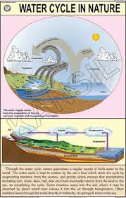 Water Cycle In Nature For Geography Chart