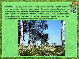 проект по окружающему миру 3 класс разнообразие природы родного края Proekt Okruzhayushij Mir 3 Klass Shkola Rossii