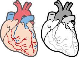 心臓 イラスト素材 4167483 フォトライブラリー photolibrary 悲しい絵 イラスト 無料 イラスト