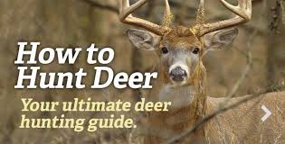 Pin On Deer Hunting