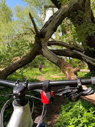 Not only should you look forward. Mountainbiken In Munchen Die Fasanerietrails Im Norden Rumpeldipumpel Mountainbike Blog