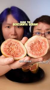 Apa Perbedaan Buah Ara Dan Buah Tin