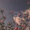 Google wallpaper and screensavers 60 images. 1