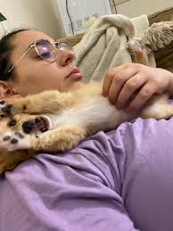 Transformation Thursday: Puppy to Adult Dog Photos