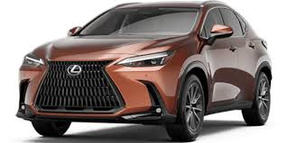 Image result for Autumn Shimmer 2018 NX