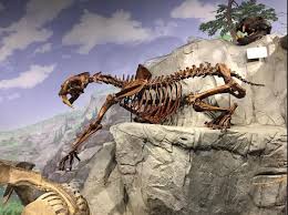 * * * * the letter u is a young bicephalous monster, a monster with two heads with a naughty looking coloring page. Robin S Great Coloring Pages Smilodon Saber Tooth Cats