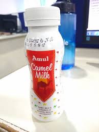 We work closely with selected camel breeders to ensure that as an inherent characteristic of any freeze dried powder, a few particles may not dissolve entirely but nutritional value will remain intact. Local Guides Connect Tasted Camel Milk For First Time Local Guides Connect