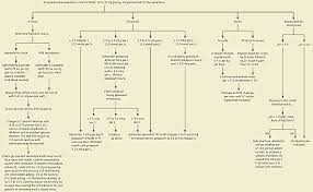 Diabetic Ketoacidosis American Family Physician