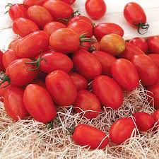 Sugar drop is the end result of the dehybridization of a yellow cherry tomato accomplished by tracking traits associated with genes from the presumed wild parent of that hybrid. Tomato Sugar Plum F1 Harris Seeds