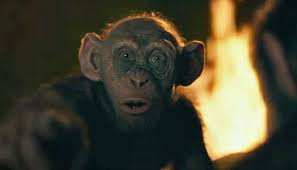 Bad ape is an evolved chimpanzee who appears in war for the planet of the apes. Image Result For Bad Ape Planet Of The Apes Apes Dawn Of The Planet