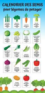Calendrier Des Semis Pour Legumes De Potager En 2020 Calendrier Des Semis Potager Calendrier Potager