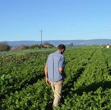 Innovative winter CSA models lead to summer member retention