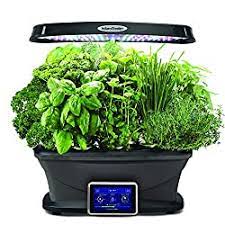 I am trying for the second time to grow the tomatoes (ruby heirloom) and pickle cucumbers (burpee picklers). How To Grow Weed In Your Aerogarden Step By Step Guide