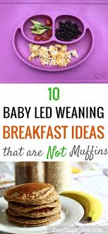 Ten Blw Breakfast Ideas That Are Not Muffins Feeding Bytes
