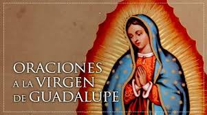 San expedito, santo de los desesperados y se sus causas urgentes, tu que nos proteges de quienes quieren hacernos dao; Oraciones A La Virgen De Guadalupe Aci Prensa