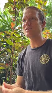 Nicholas Devlin (@coachnickdevlin) • Instagram photos and videos