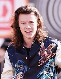 Less wear and tear on your vehicle this post was primarily geared towards the male audience and those who prefer shorter hair styles. We Really Really Need To Talk About Harry Styles Hair
