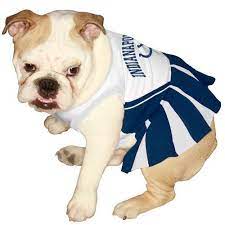 Great Holiday Gifts College Doggie Clothing Dog Cheerleader Cheerleading Outfits Cheerleading
