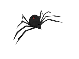 Find & download free graphic resources for black widow spider. Black Widow Spiders Wallpapers Wallpaper Cave