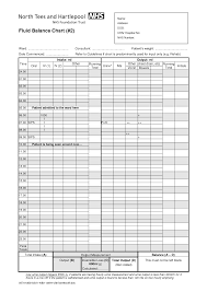 19 Images Of Nursing Input And Output Forms Template
