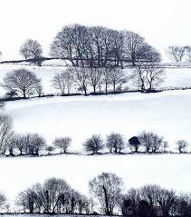 Snow On Welsh Landscape Landscape Tree Drawing Winter Scenes