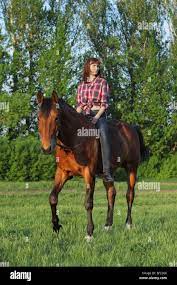 Beautiful blond woman riding horse bareback in evening field Stock Photo -  Alamy