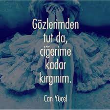 Gozlerimden Tut Da Cigerime Kadar Kirginim Can Yucel Biraz Degistim Sozler Anlamlisozler Guzelsozler Manalisozler Ozluso Ozlu Sozler Siir Edebiyat