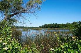 Check spelling or type a new query. Is It Safe To Swim In Lake Worth Texas Instaswim