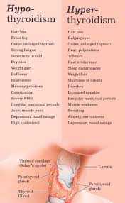 Cruciferous Vihannekset Ja Kilpirauhasen In 2020 Hashimoto Thyroid Disease Thyroid Disease Enlarged Thyroid