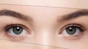 Macys.com has been visited by 1m+ users in the past month Anatomy Of Eyebrow Different Types Of Eyebrows Shapes