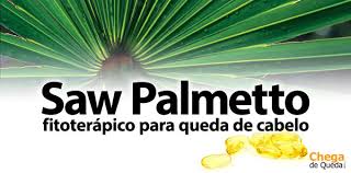 Saw Palmetto: fitoterápico para queda de cabelo | Chega de Queda!