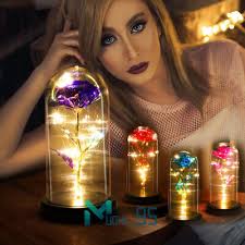 Rose LED Light Glass Gifts for Wife Women Her Mother Girlfriend Birthday  Gift