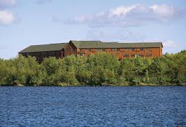 Image result for Elymandra grallata