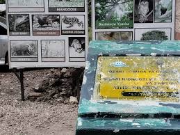 Image result for Burttdavya