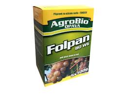 Image result for Metasphaeria diplodiella