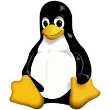 So i can create a web site or program credential. How To Become Root In Linux